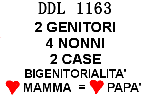 DDL 1163 riforma Affido Condiviso